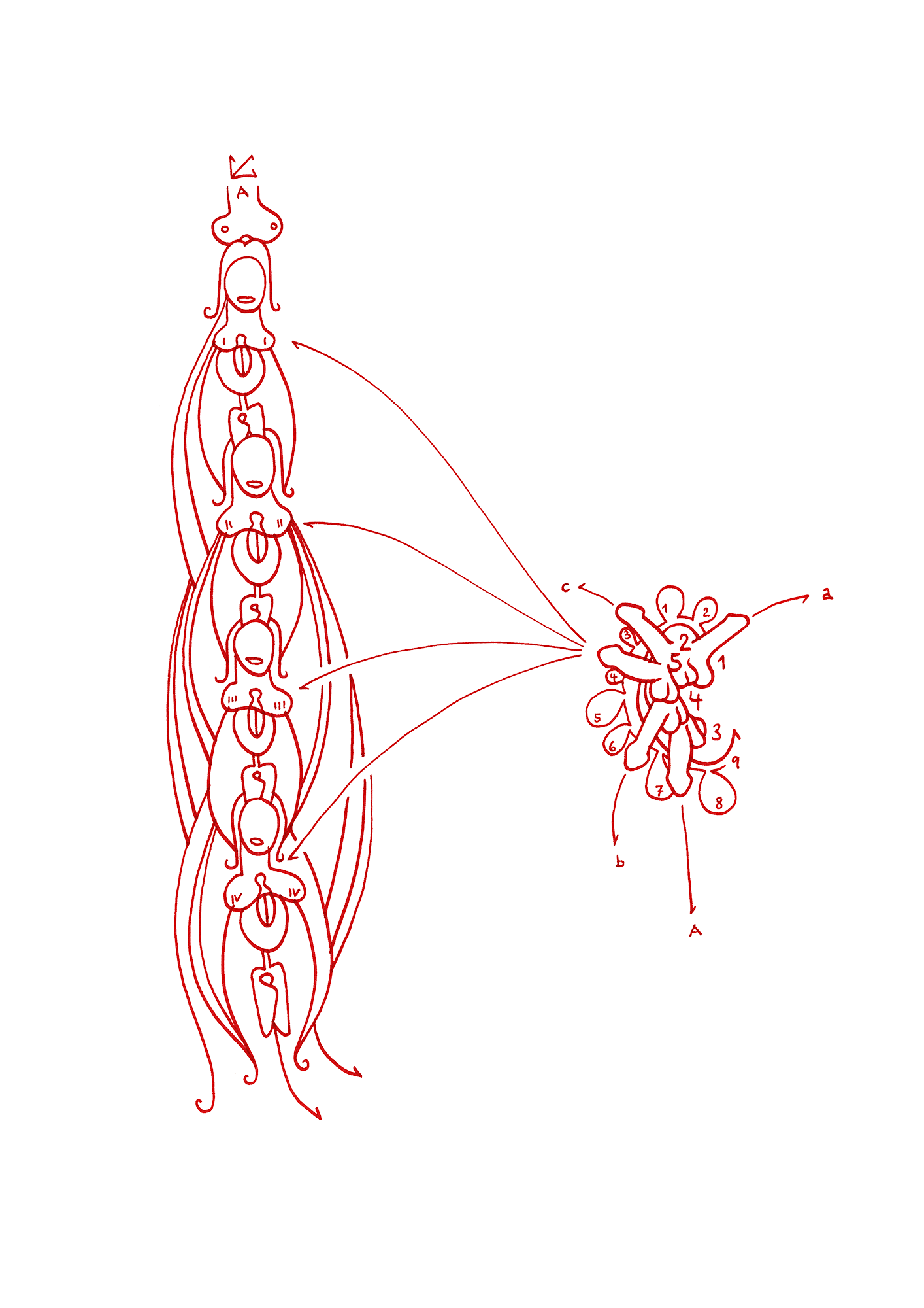 Hannes Kater – Tageszeichnung (Zeichnung/drawing) vom 01.11.2014 (1414 x 2000 Pixel)