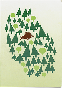 LP 2202 - Lieblingspfeil Nr. 2202 von Hannes Kater